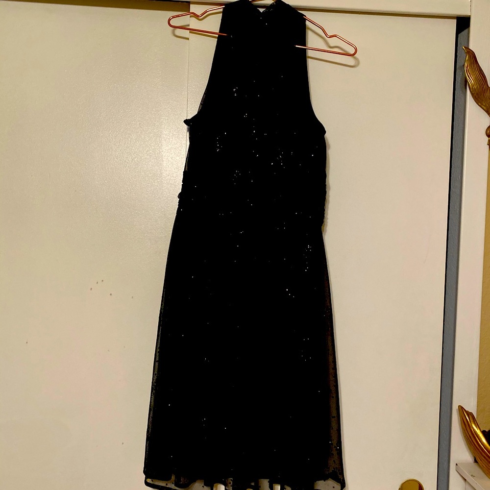 Ladies sparkly Evening Dress. Eva Picone size 12P.